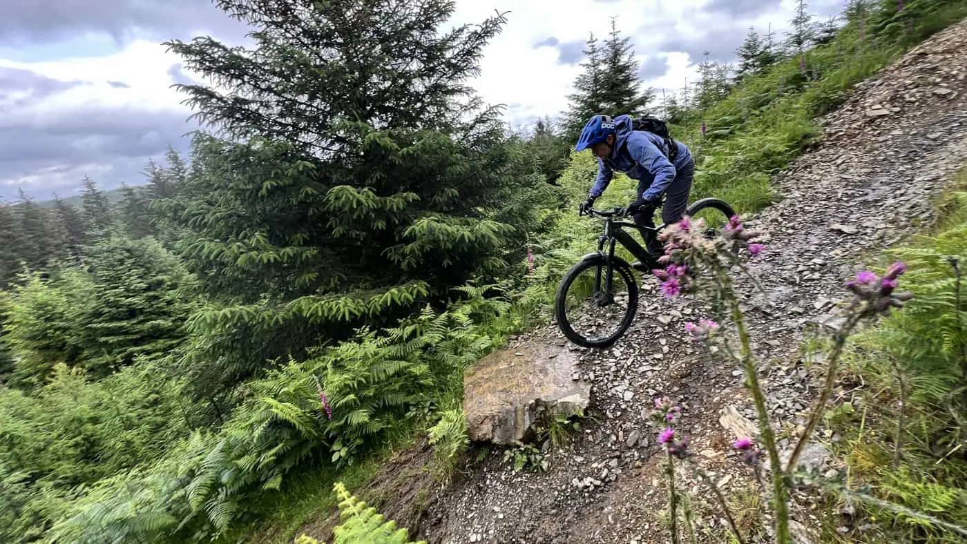 Grizedale mtb trails online